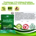 Barley Wheatgrass and Mangosteen (Powder Sachet)